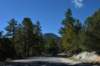 dsc_0110_fs_small.jpg