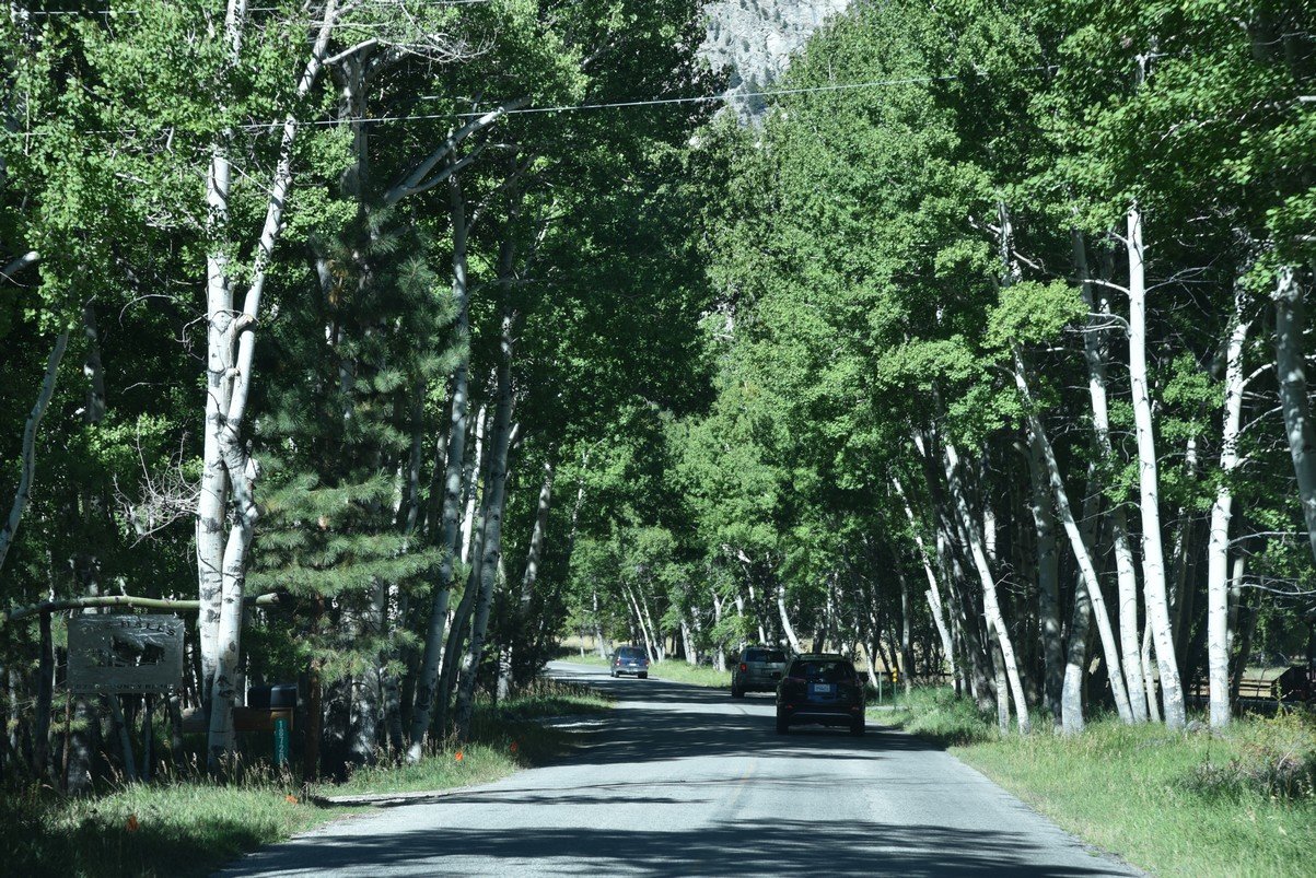 dsc_0118_fs.jpg