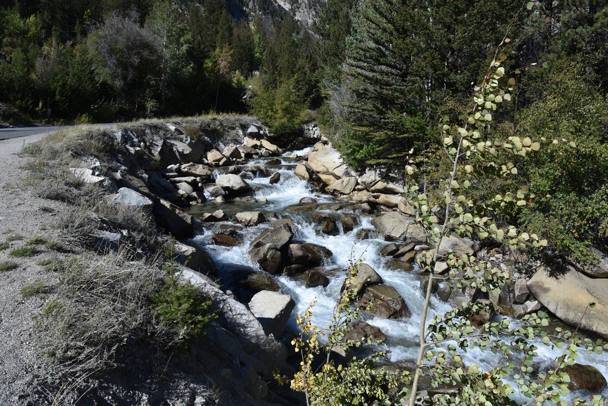dsc_0127_fs.jpg