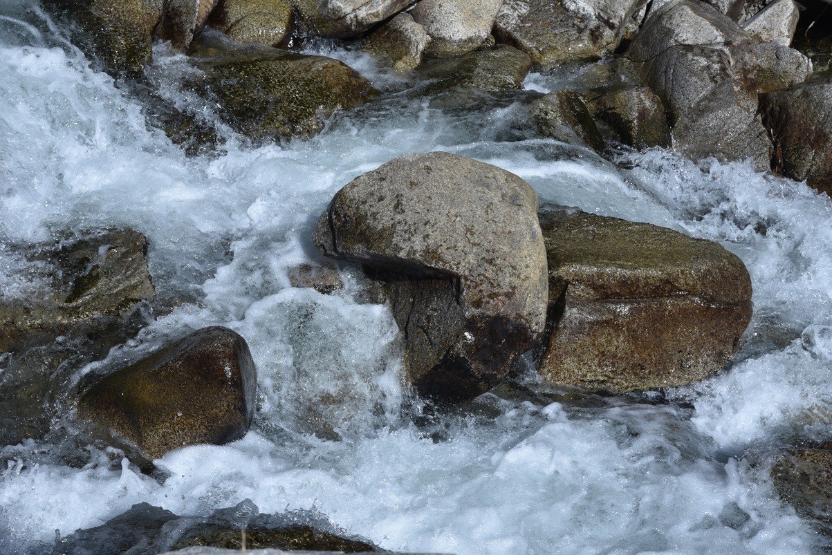 dsc_0130_fs.jpg
