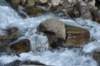 dsc_0130_fs_small.jpg