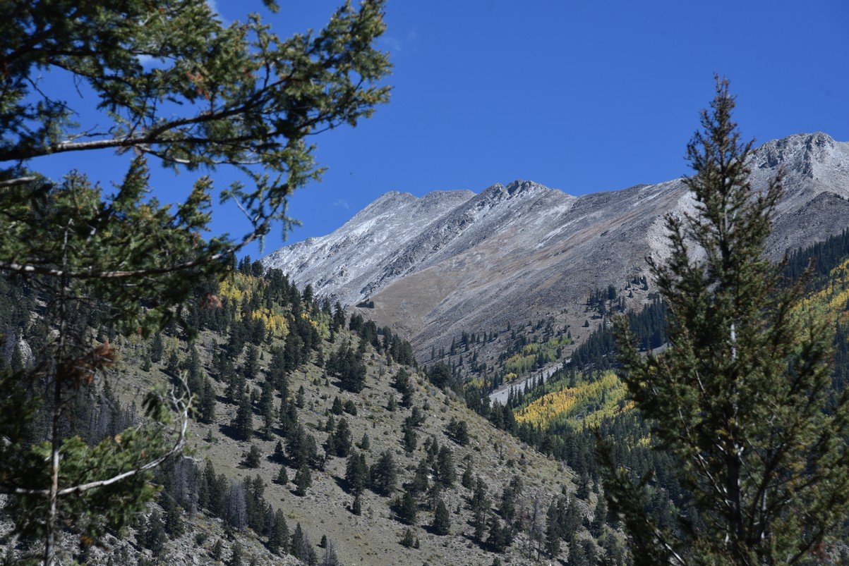 dsc_0246_fs.jpg
