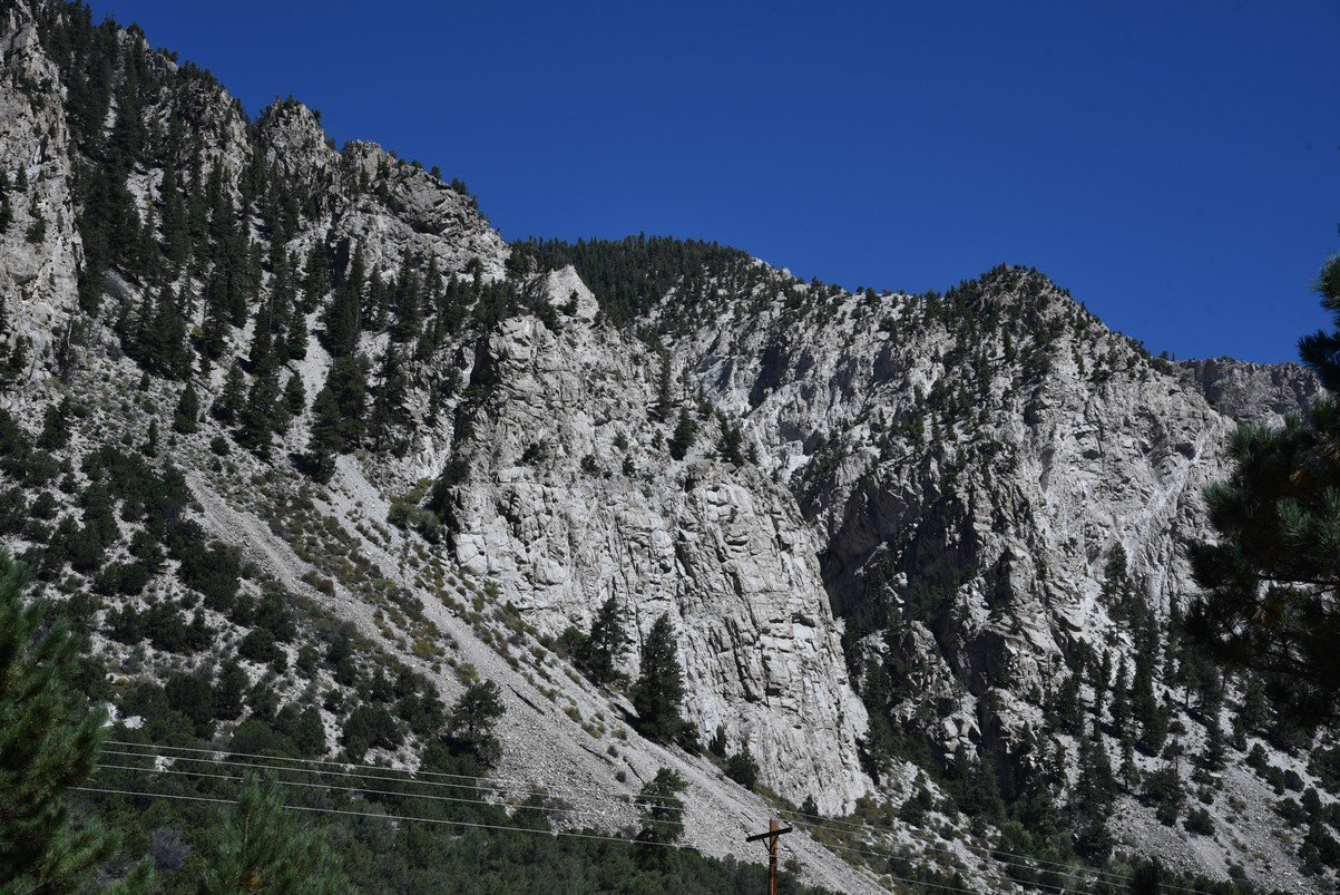 dsc_0264_fs.jpg