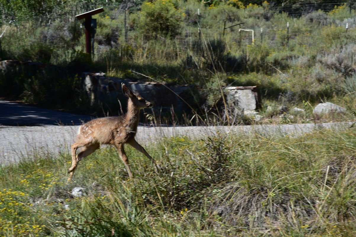 dsc_0276_fs.jpg