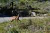 dsc_0276_fs_small.jpg