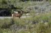 dsc_0277_fs_small.jpg