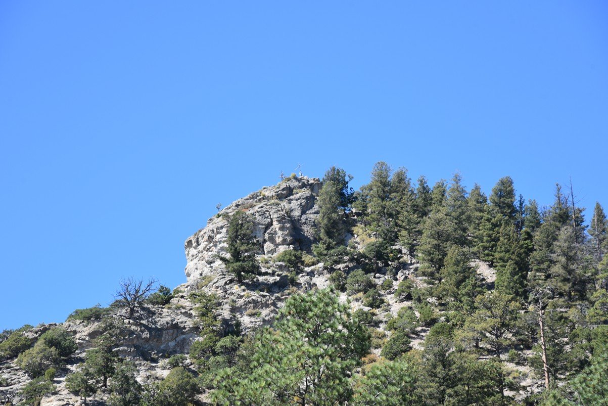 dsc_0289_fs.jpg