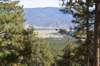 dsc_0290_fs_small.jpg