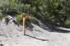 dsc_0293_fs_small.jpg