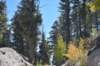 dsc_0296_fs_small.jpg