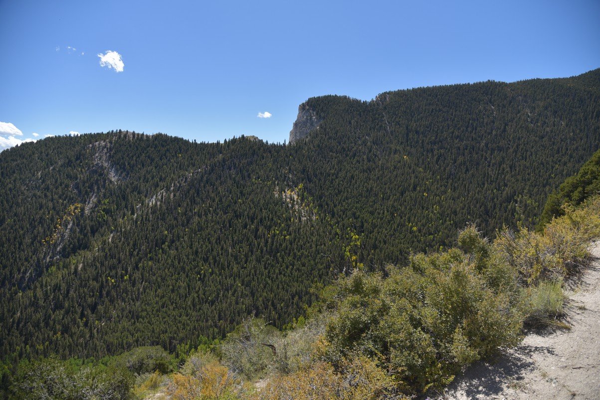 dsc_0308_fs.jpg