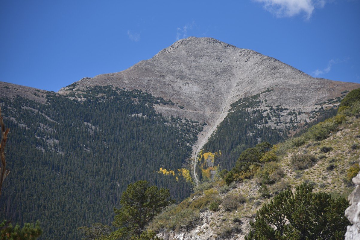 dsc_0310_fs.jpg