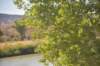 dsc_0724_fs_small.jpg