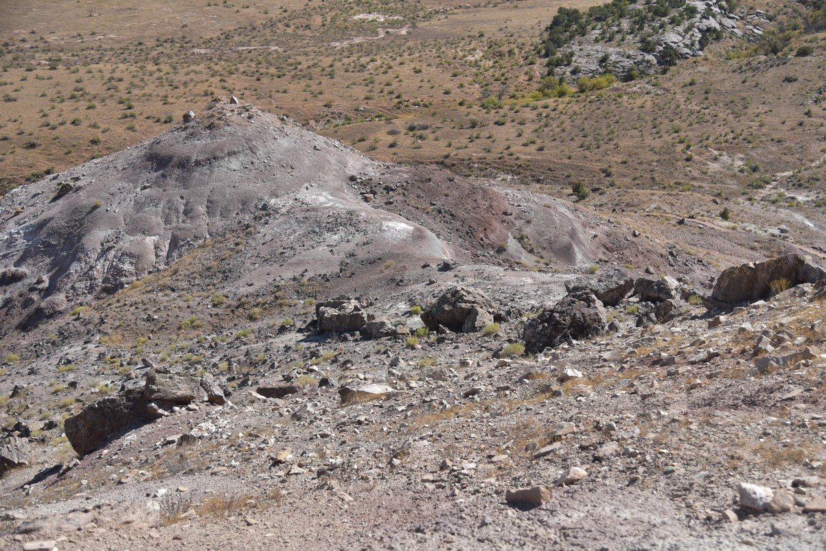 dsc_0788_fs.jpg