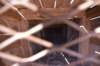dsc_0808_fs_small.jpg