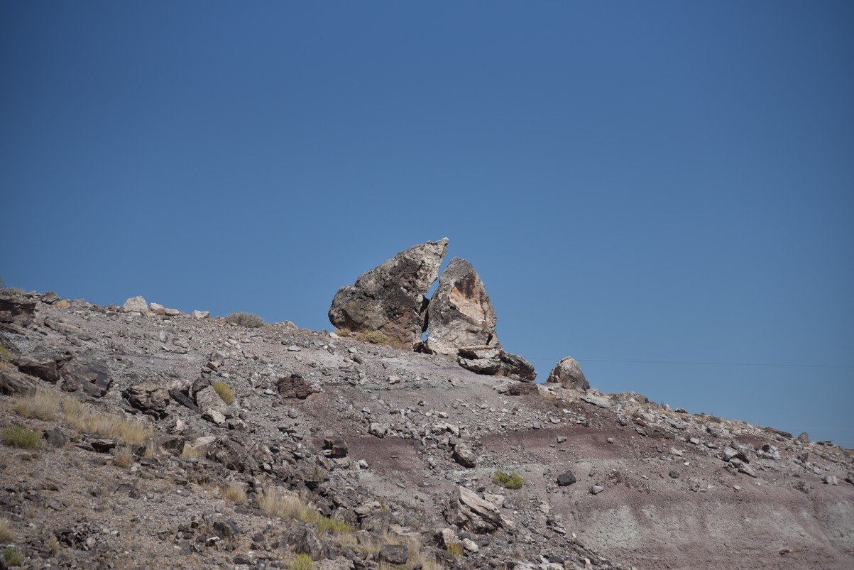 dsc_0809_fs.jpg