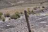 dsc_0815_fs_small.jpg