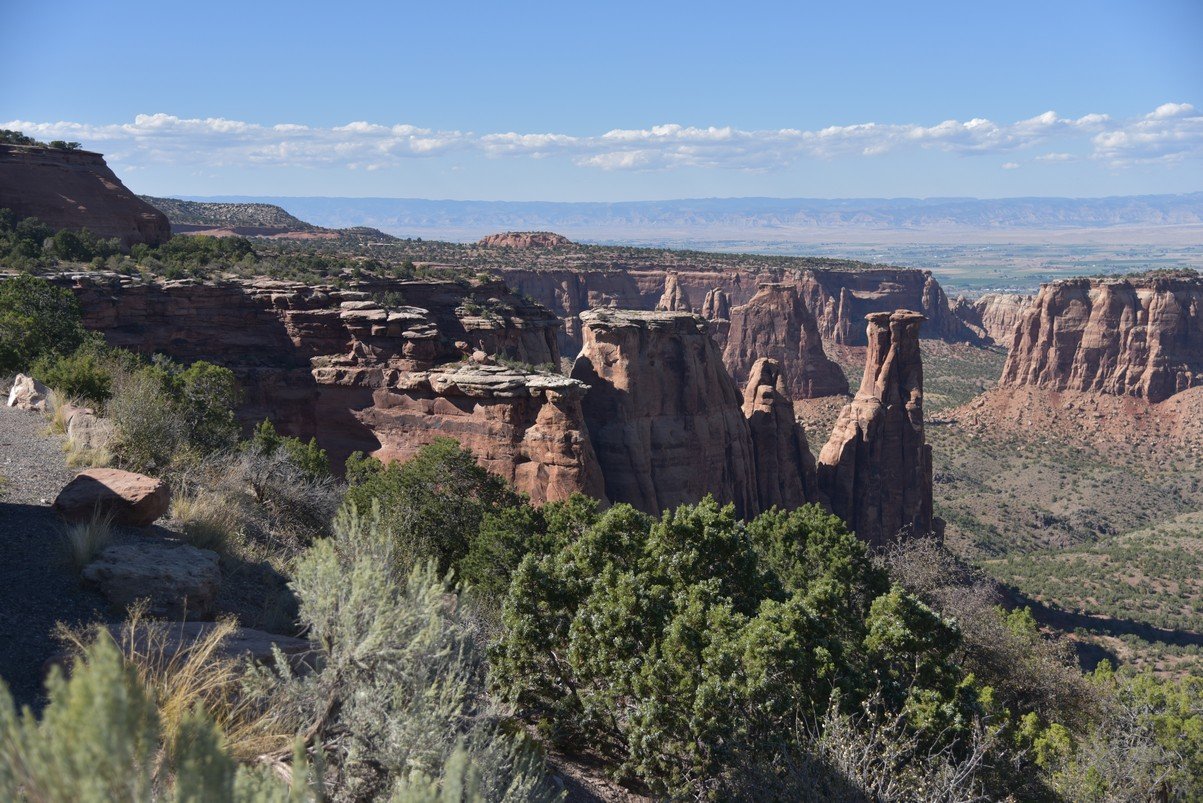 dsc_0882_fs.jpg