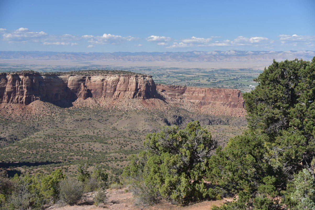 dsc_0884_fs.jpg