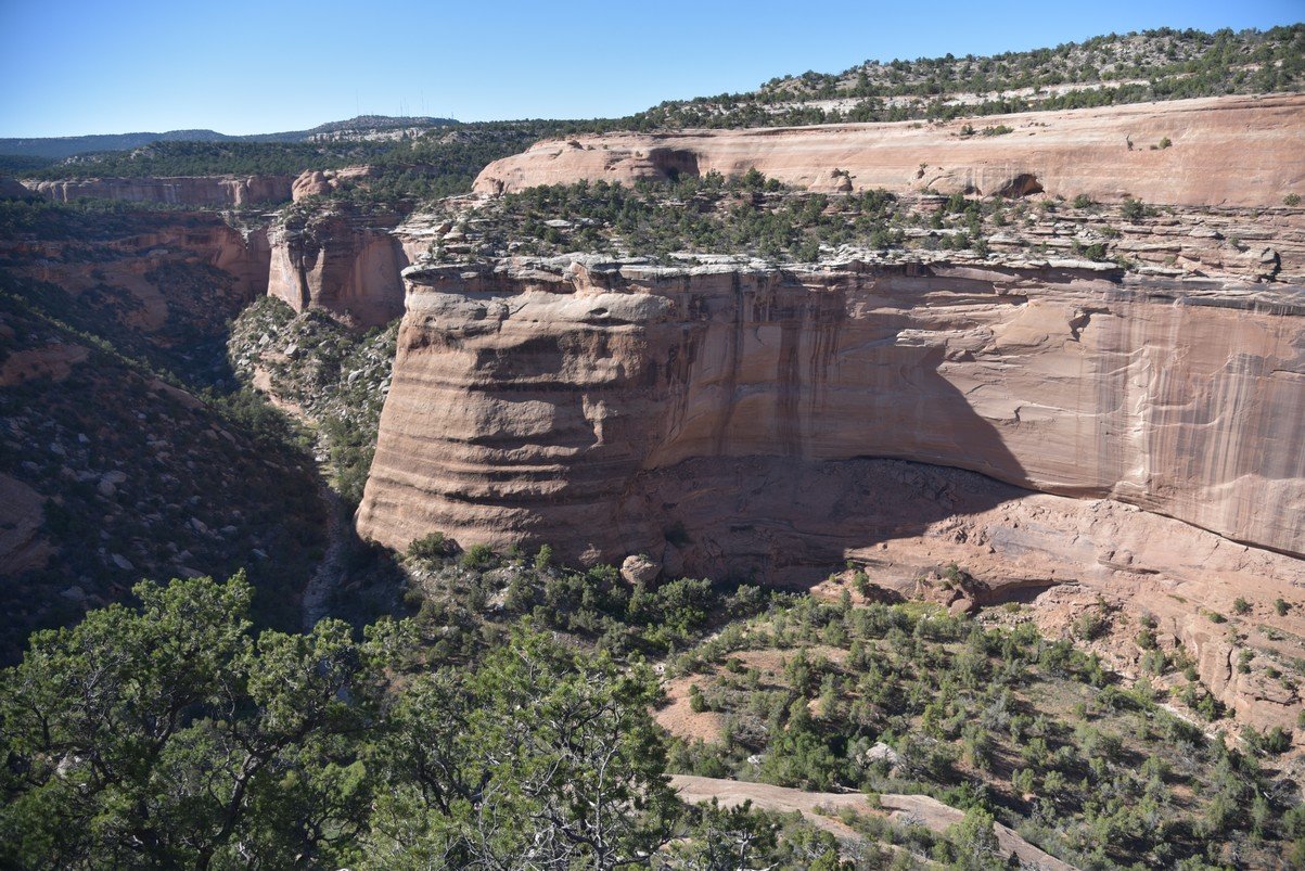 dsc_0961_fs.jpg