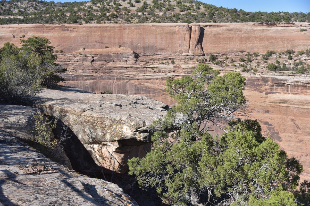 dsc_0971_fs.jpg