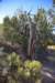 dsc_0978_fs_small.jpg