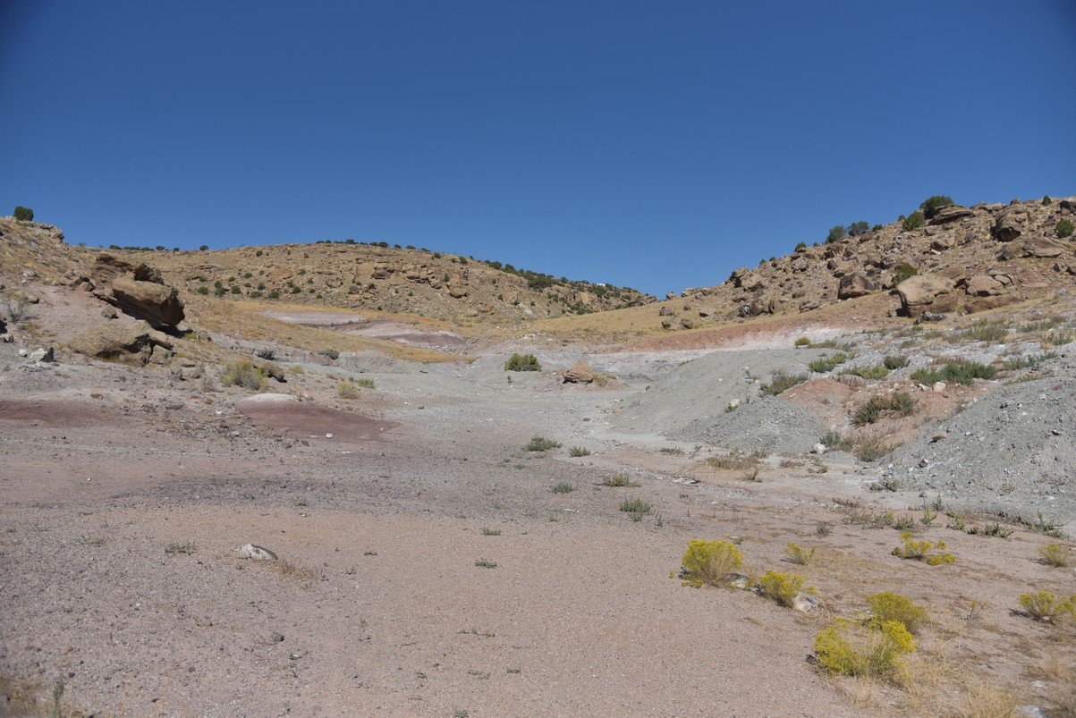 dsc_1045_fs.jpg