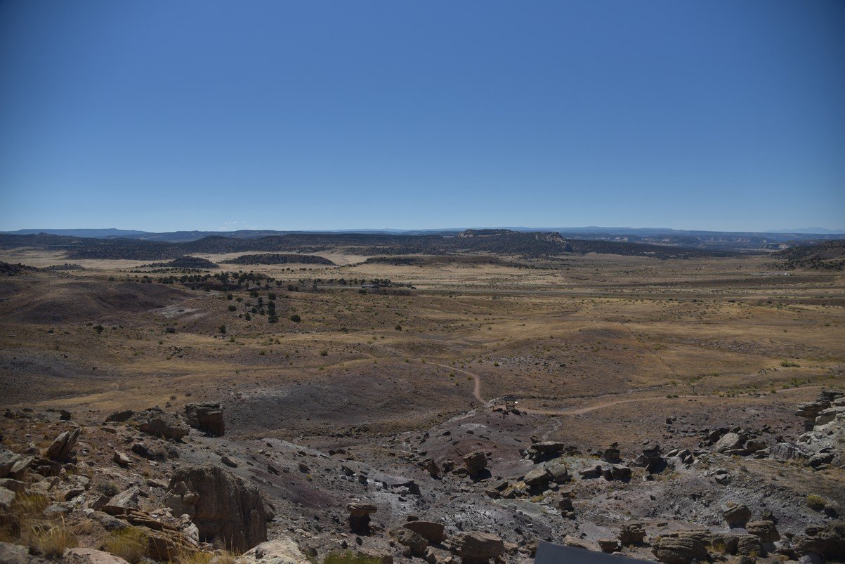 dsc_1077_fs.jpg