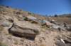 dsc_1086_fs_small.jpg