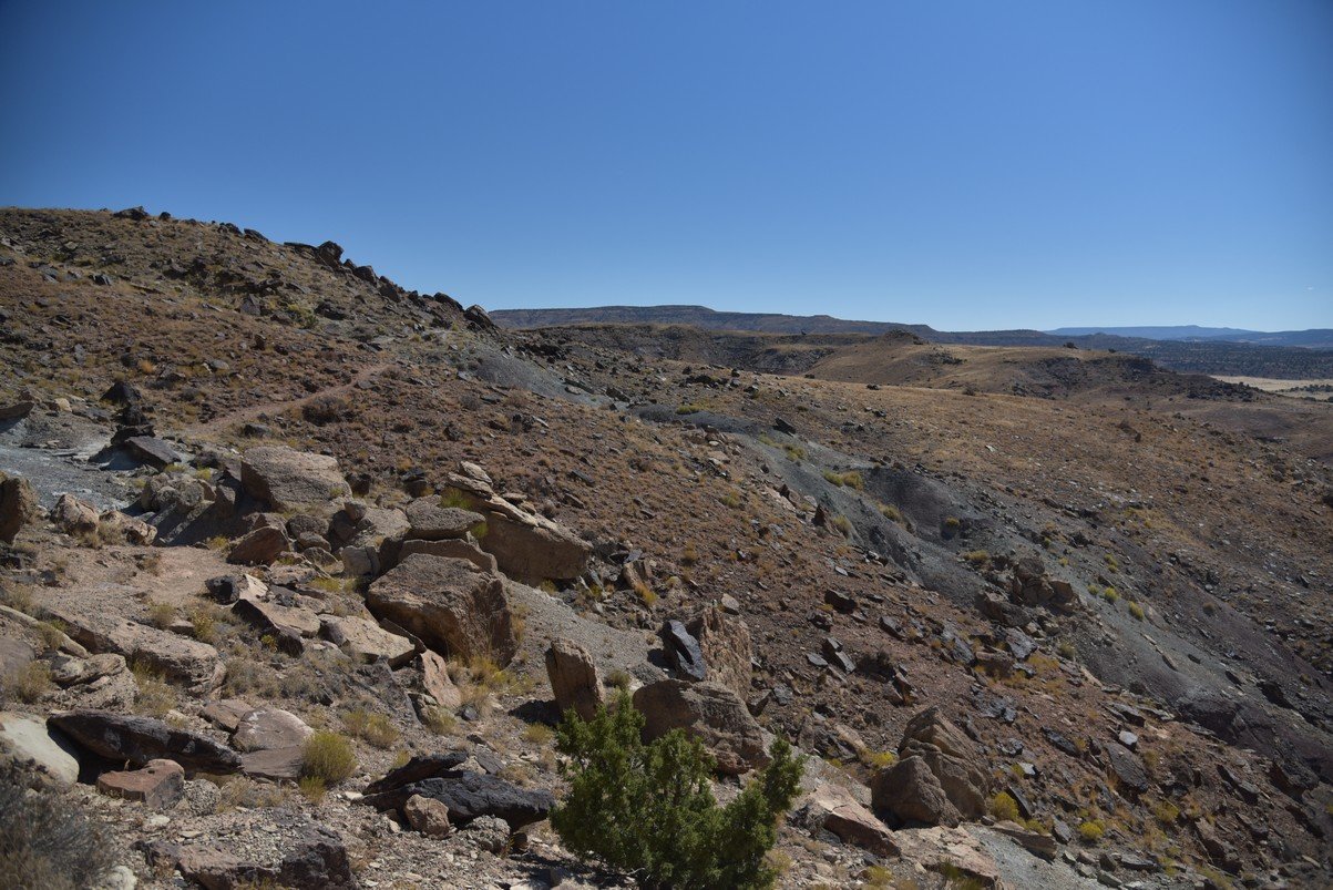 dsc_1088_fs.jpg