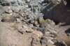dsc_1089_fs_small.jpg