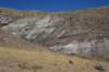 dsc_1118_fs_small.jpg