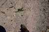dsc_1122_fs_small.jpg