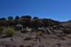 dsc_1126_fs_small.jpg