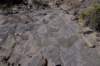 dsc_1139_fs_small.jpg