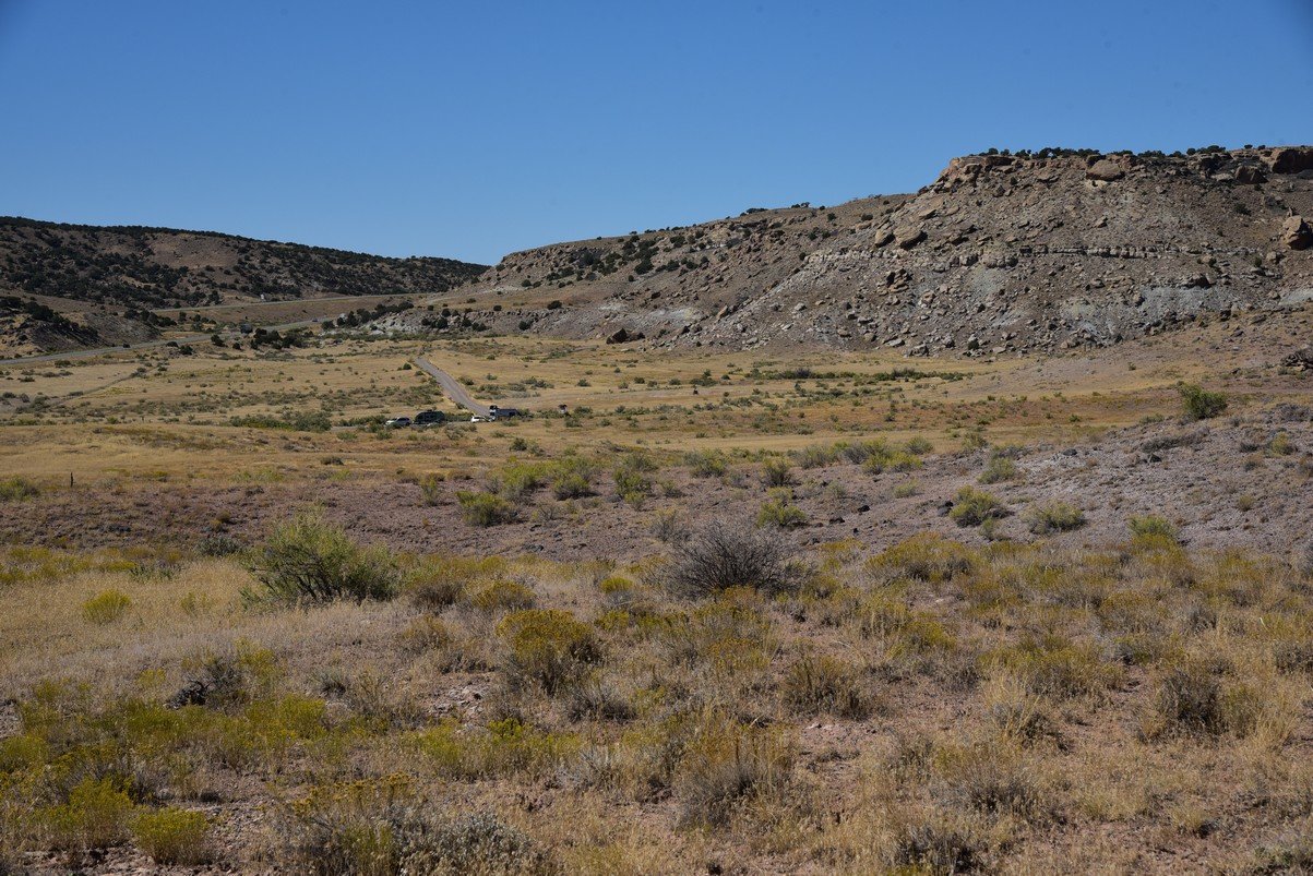dsc_1150_fs.jpg