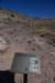 dsc_1162_fs_small.jpg