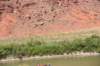 dsc_1368_fs_small.jpg