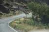 dsc_1400_fs_small.jpg
