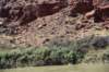 dsc_1401_fs_small.jpg