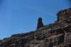 dsc_1406_fs_small.jpg