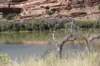 dsc_1410_fs_small.jpg
