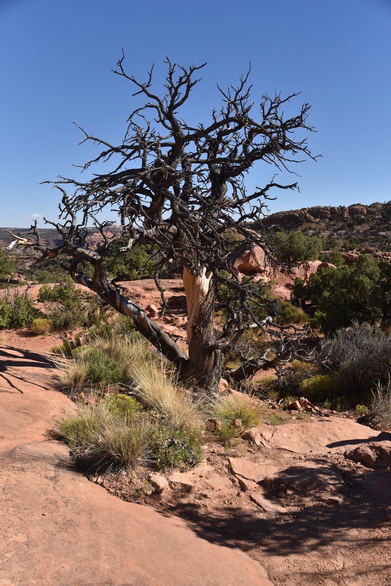 dsc_1470_fs.jpg