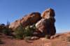 dsc_1500_fs_small.jpg