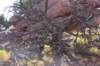 dsc_1502_fs_small.jpg