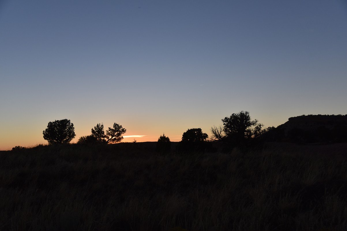 dsc_1623_fs.jpg