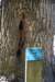 dsc_6420_fs_small.jpg