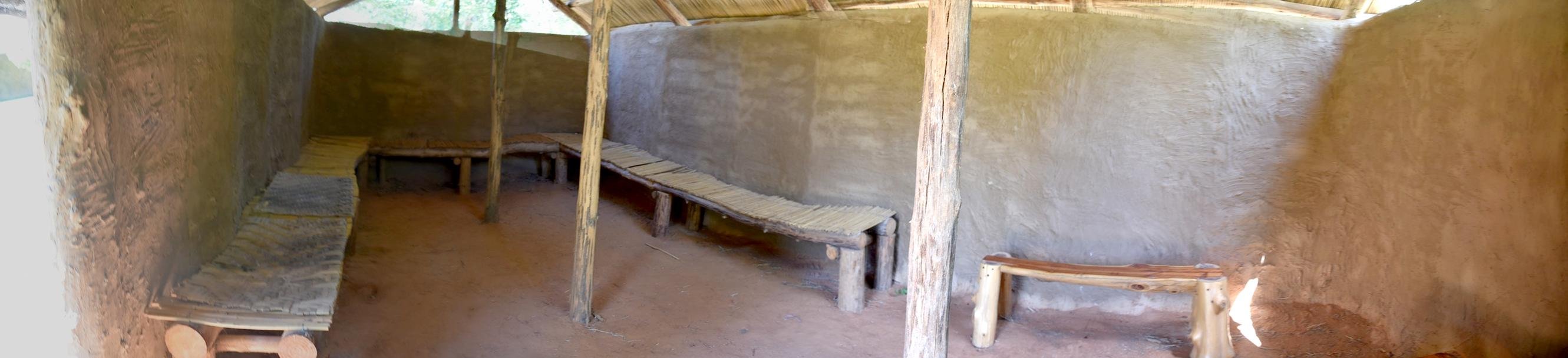 dsc_6479_fs_82_pf_poor.jpg