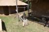 dsc_6483_fs_small.jpg