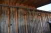 dsc_6523_fs_small.jpg